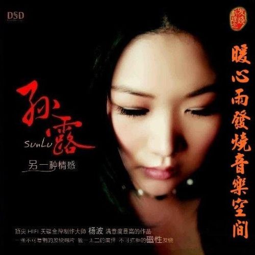 三大顶级女声 - 孙露 [5.1声道]-无损音乐下载