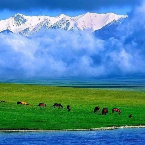 草原情 – 降央卓玛 [5.1声道]-无损音乐下载