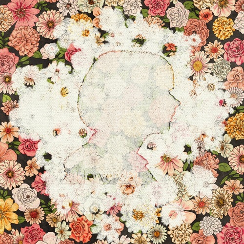 Flowerwall – Single – 米津玄师-无损音乐下载