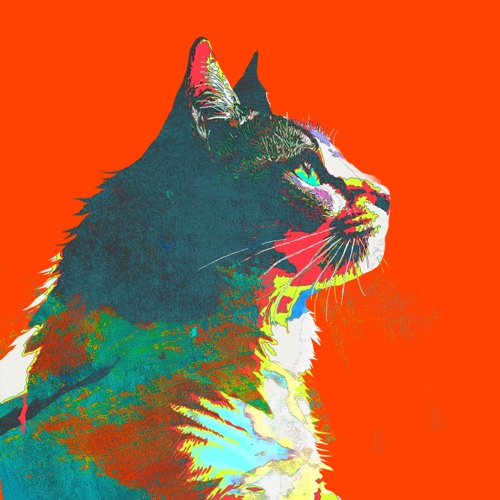 毎日 – Every Day – Single – 米津玄师-无损音乐下载