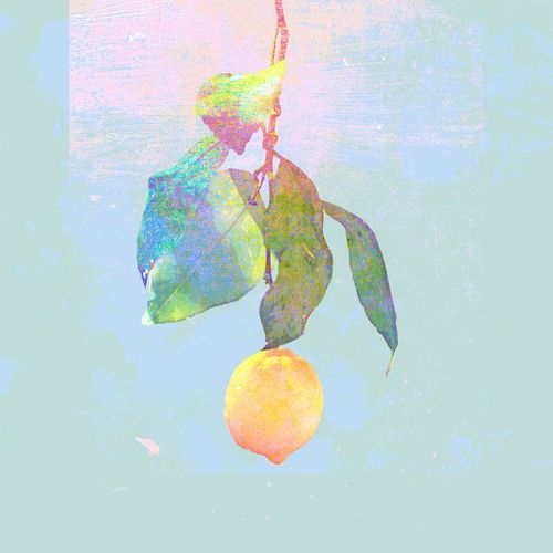Lemon [FLAC 分轨]-无损音乐下载