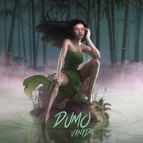 Dumo - Single - 万妮达-无损音乐下载