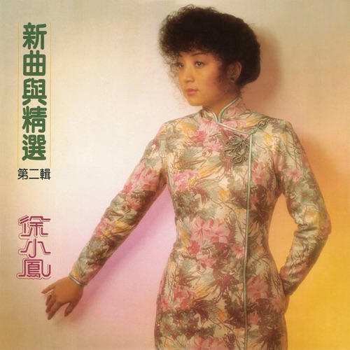 New Songs & Old Hits Vol 2 - 徐小凤-无损音乐下载