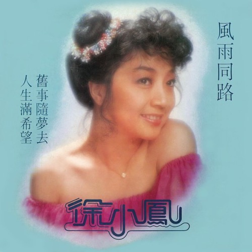 風雨同路 - 徐小凤-无损音乐下载