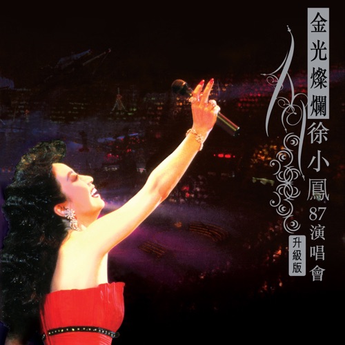 金光灿烂徐小凤87演唱会 (升级版) - 徐小凤-无损音乐下载
