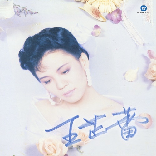 悲欢岁月 – 王芷蕾-Hires Audio - 无损音乐下载