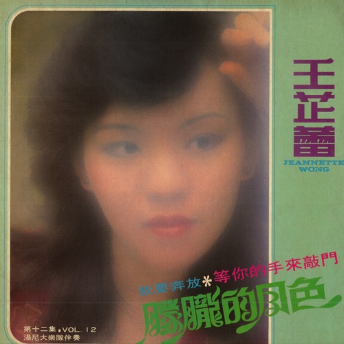 王芷蕾, Vol. 12: 朦胧的月色 (修复版) – 王芷蕾-Hires Audio - 无损音乐下载
