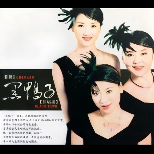 超越I: 心想唱歌就唱歌 - 黑鸭子-Hires Audio - 无损音乐下载