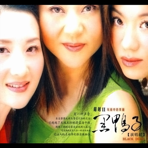 超越II - 风雨中的美丽 - 黑鸭子-Hires Audio - 无损音乐下载