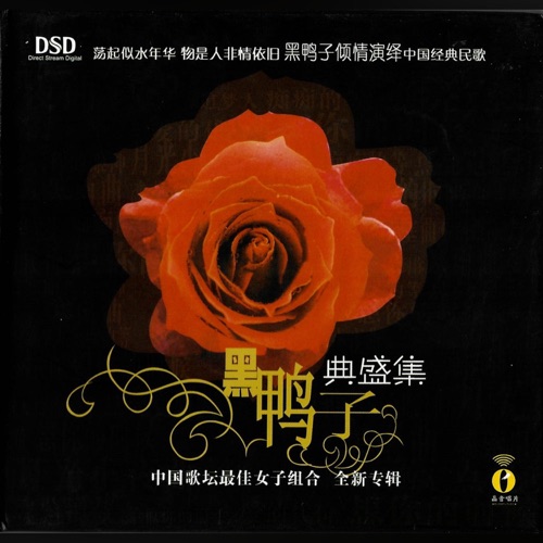 典盛集 - 黑鸭子-Hires Audio - 无损音乐下载