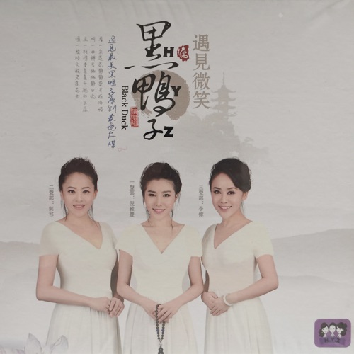 遇见微笑 - 黑鸭子-Hires Audio - 无损音乐下载