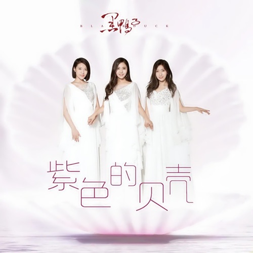 紫色的贝壳 - Single - 黑鸭子-Hires Audio - 无损音乐下载