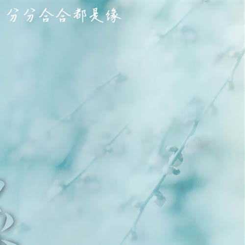 分分合合都是缘 - Single - 黑鸭子-Hires Audio - 无损音乐下载