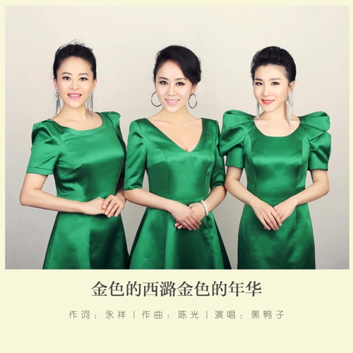 金色的西潞金色的年华 - Single - 黑鸭子-Hires Audio - 无损音乐下载