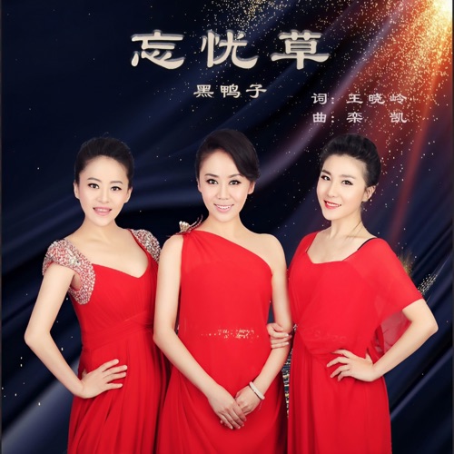 忘忧草 - Single - 黑鸭子-Hires Audio - 无损音乐下载