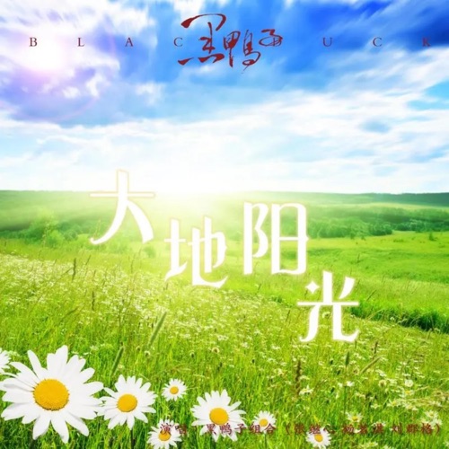 大地阳光 - Single - 黑鸭子-Hires Audio - 无损音乐下载