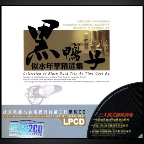 似水年华精选集 Vol.2 - 黑鸭子-Hires Audio - 无损音乐下载