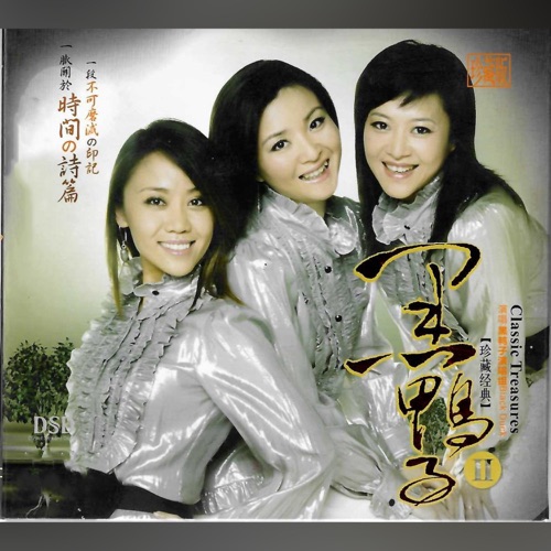 珍藏经典 Vol.2 - 黑鸭子-Hires Audio - 无损音乐下载