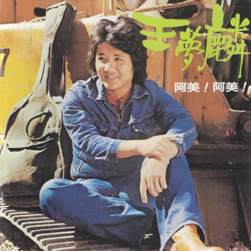 阿美!阿美! – 王梦麟 [杜比全景声][5.1CH]-Hires Audio - 无损音乐下载