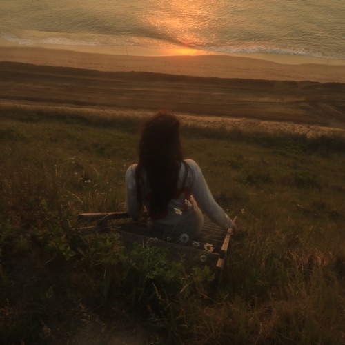 Fatal Optimist (UN-unplugged) - Madi Diaz-Hires Audio - 无损音乐下载