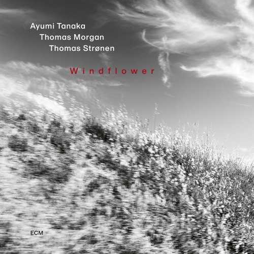 Windflower - Ayumi Tanaka, Thomas Morgan & Thomas Strønen-Hires Audio - 无损音乐下载