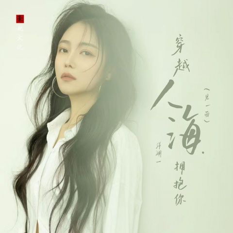 穿越人海拥抱你（见一面） - 洋澜一 [FLAC 分轨]-Hires Audio - 无损音乐下载
